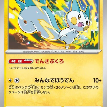 62-pachirisu