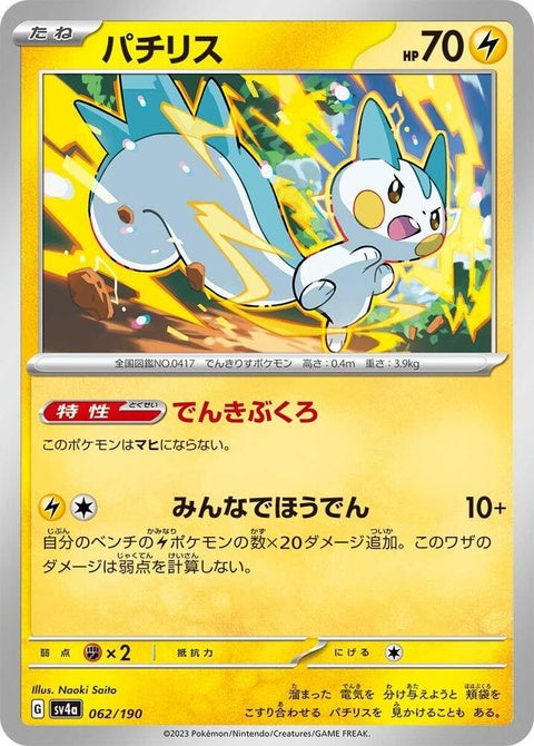 62-pachirisu