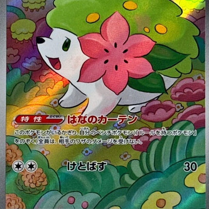 66-shaymin