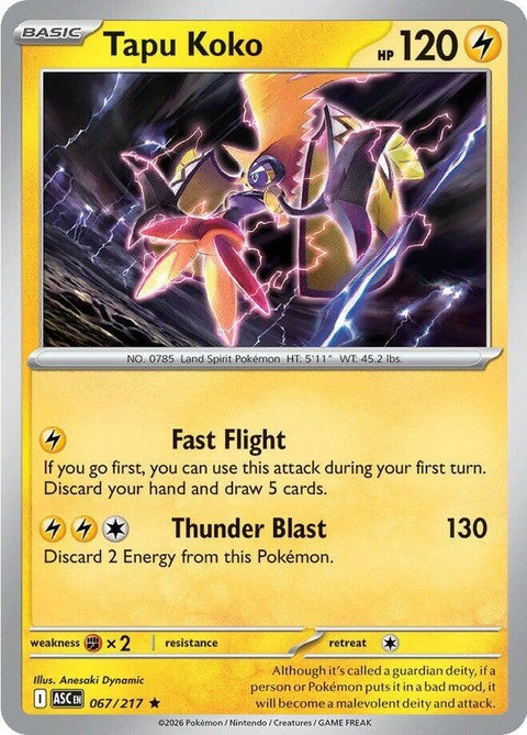67-tapukoko