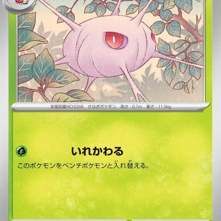 7-cascoon