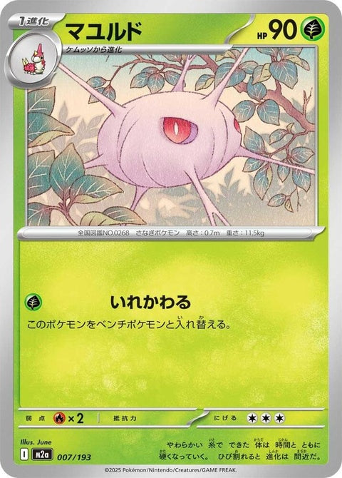 7-cascoon