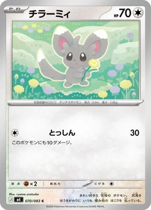 70-minccino