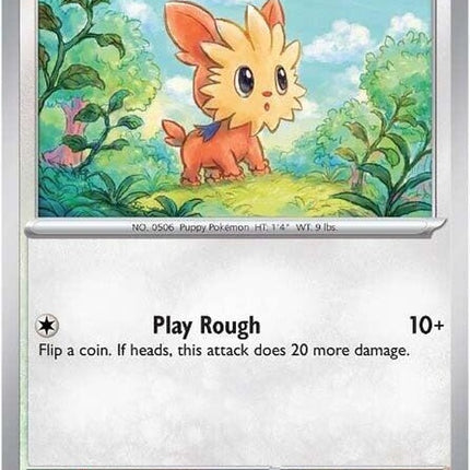 74-lillipup