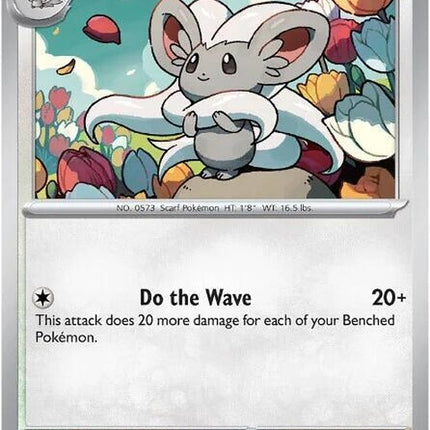 76-cinccino