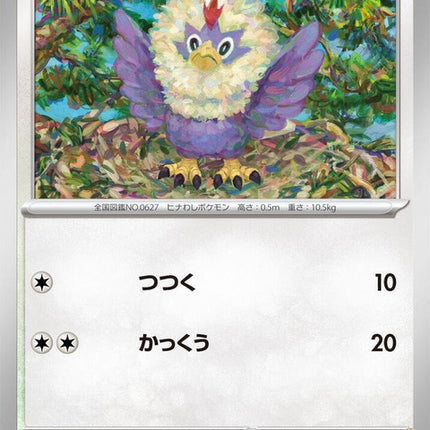 76-rufflet