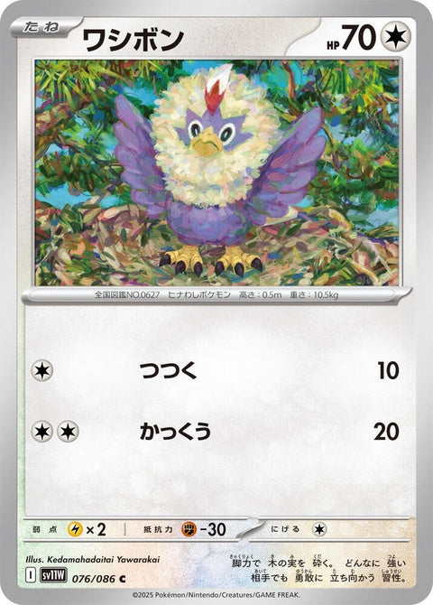 76-rufflet