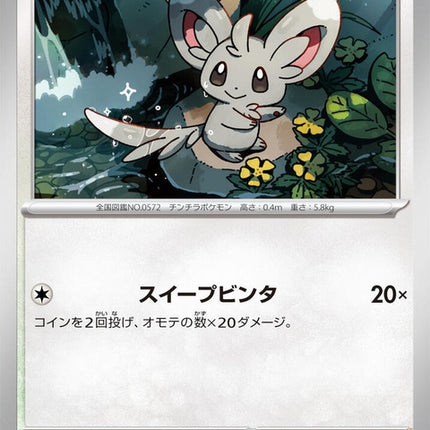 77-minccino