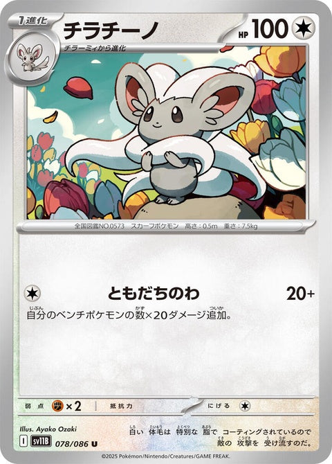 78-cinccino
