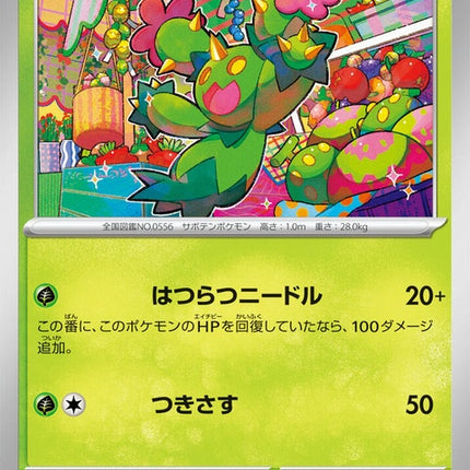 8-maractus