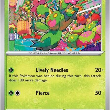 8-maractus