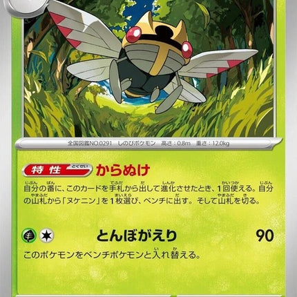 8-ninjask