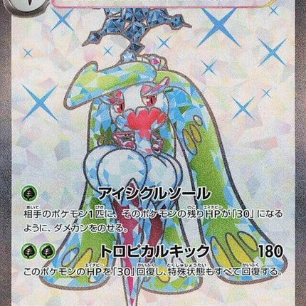 80-tsareenaex