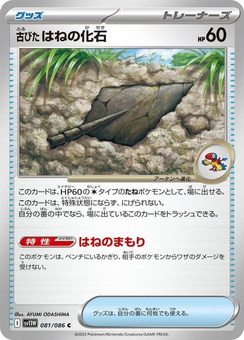 81-antiqueplumefossil