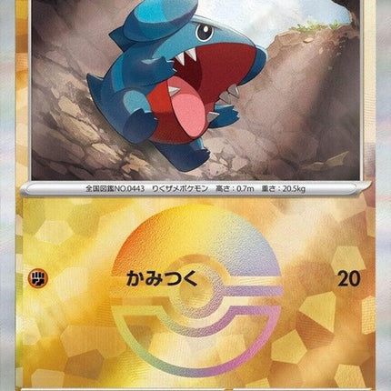 81-gible-mirrorfoil