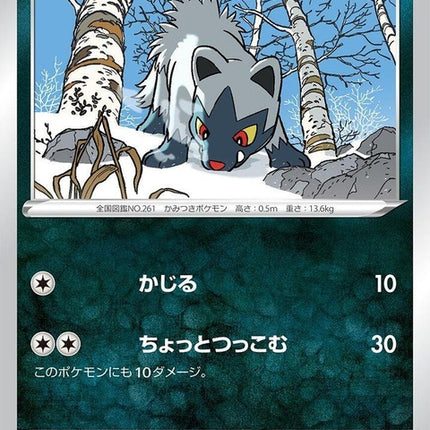 81-poochyena