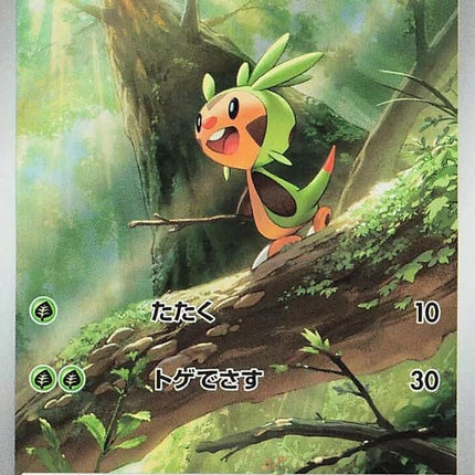 84-chespin