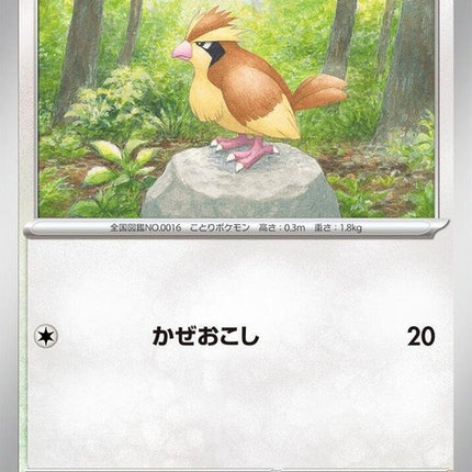 87-pidgey