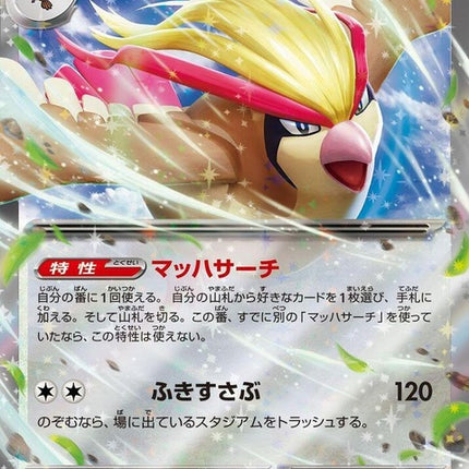 89-pidgeotex