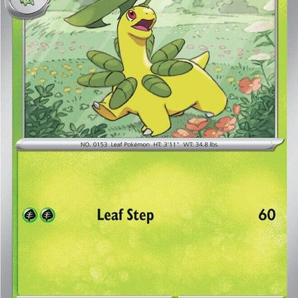 9-bayleef