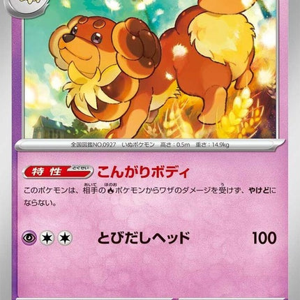 90-dachsbun