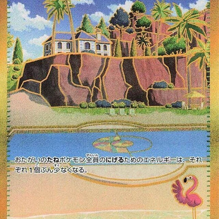 91-beachcourt