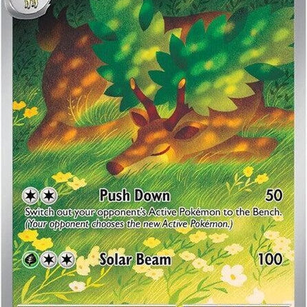 92-sawsbuck