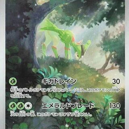95-virizion