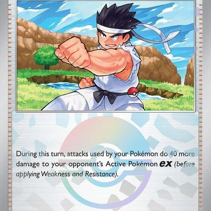 97-blackbeltstraining-pokeballpattern