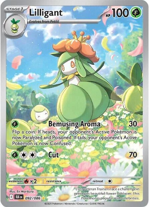Black Bolt Pokémon card featuring Lilligant, a single card from the Pokémon brand with detailed artwork and vibrant colors.