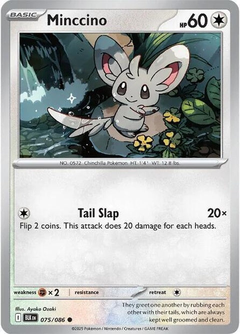 Black Bolt Minccino Pokémon single card, featuring a black and white illustration of the Pokémon on a clean background.