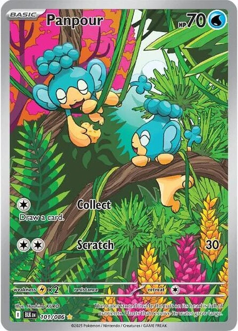 Black Bolt Pokémon card featuring Panpour, a single card from the Pokémon trading card game with detailed artwork.