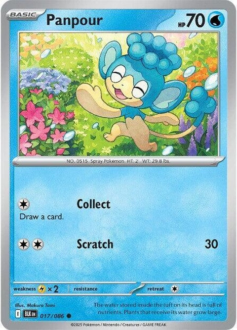 Black Bolt Panpour Pokémon single card, featuring artwork of a blue Water-type Pokémon with black bolt markings.