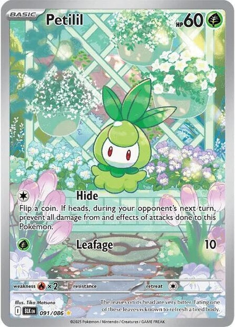 Black Bolt Pokémon card featuring Petilil, single trading card from the Pokémon brand.