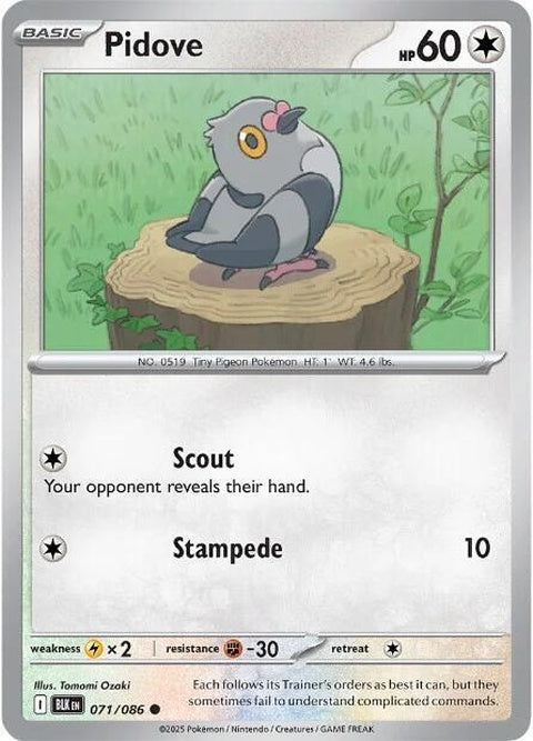 Black Bolt Pidove Pokémon singles card showing Pidove with black and gray artwork and detailed Pokémon branding.