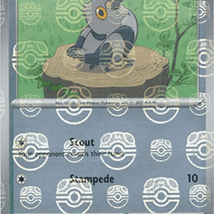 Black Bolt Pidove Pokémon card featuring a Master Ball pattern, showcasing the single card with detailed artwork and design.