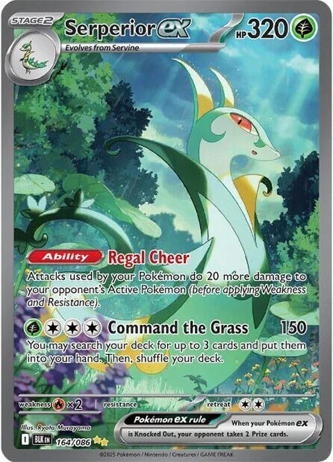 Black Bolt Serperior EX Pokémon card, featuring a detailed illustration of the Serperior Pokémon in a dynamic pose.