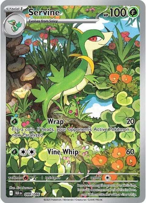 Black Bolt Servine Pokémon card showing a green, serpent-like Pokémon with a sleek design, part of the Singles collection.
