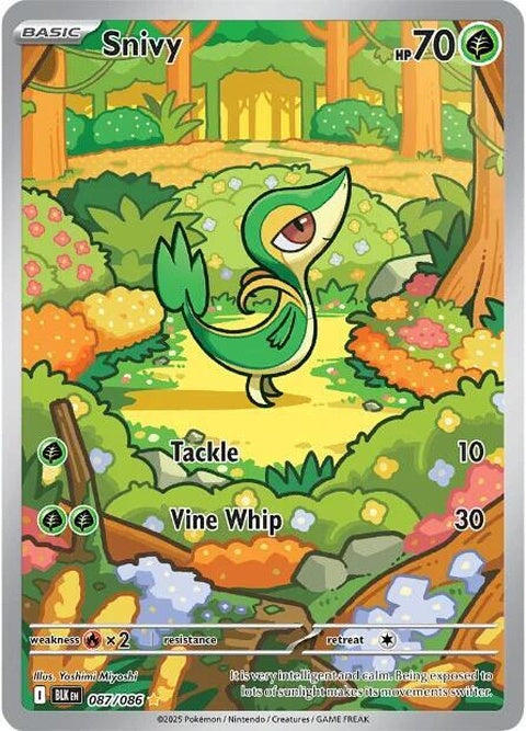 Black Bolt Snivy Pokémon card from the Singles collection, featuring the iconic Grass-type Pokémon in detailed illustration.