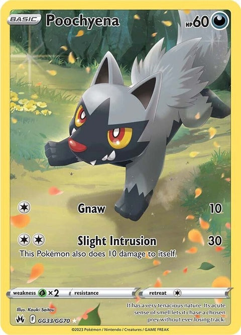 Pokémon Crown Zenith Galarian Gallery Poochyena card, GG33/GG70, featuring a detailed illustration of the dark-type Pokémon.
