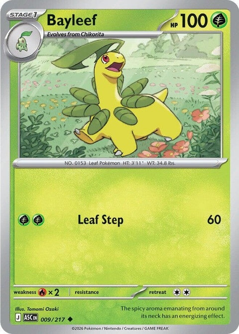 Pokémon ME Ascended Heroes Bayleef single card featuring detailed artwork of the grass-type Pokémon.