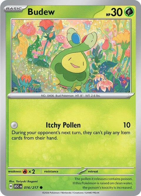 Pokémon Ascended Heroes Budew single card from the ME series, featuring detailed artwork and vibrant colors.