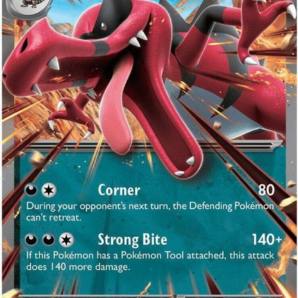Krookodile EX Pokémon card from Chaos Rising set, featuring a fierce Krookodile illustration and energy background.