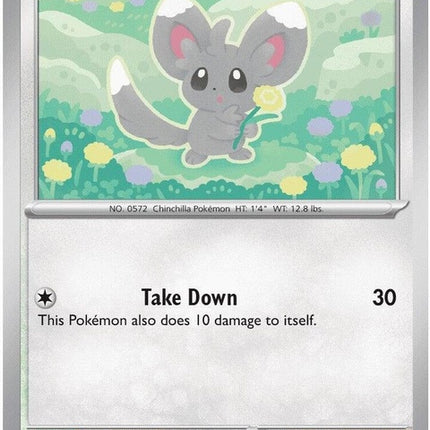Pokémon Chaos Rising Minccino single card from the ME04 set, featuring detailed artwork of the gray chinchilla-like Pokémon.