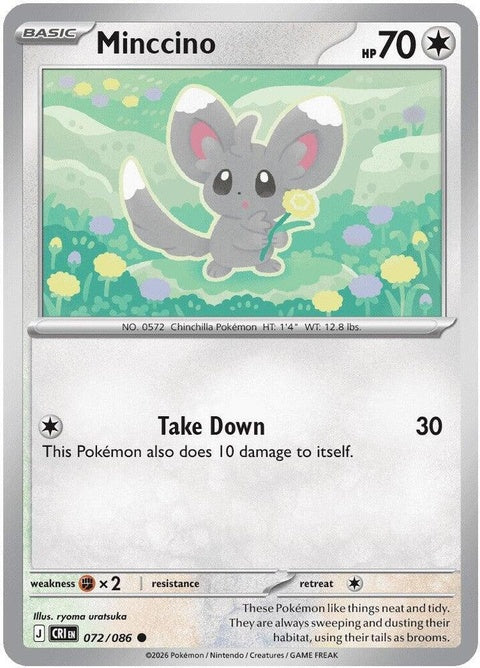 Pokémon Chaos Rising Minccino single card from the ME04 set, featuring detailed artwork of the gray chinchilla-like Pokémon.
