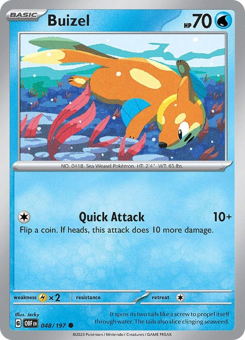 Pokémon Obsidian Flames Buizel card, singles, featuring detailed artwork of the aquatic Pokémon in a dynamic pose.