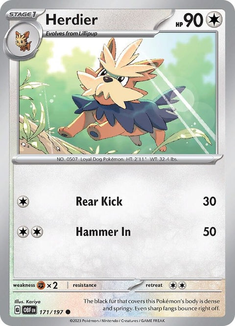 Pokémon Obsidian Flames Herdier single card featuring Herdier, with vibrant artwork and card details visible.