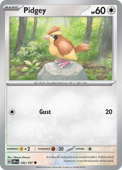 Pokémon Obsidian Flames Pidgey trading card, featuring artwork and details of the Pokémon character.