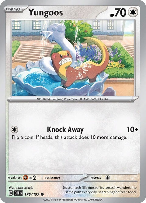 Pokémon Obsidian Flames Yungoos card, single trading card with artwork featuring Yungoos in a dynamic pose.