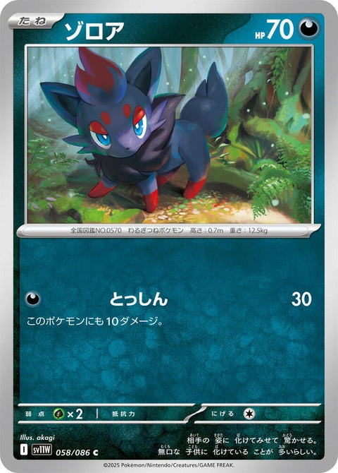 Japanese Pokémon SV11W White Flare Zorua singles card, featuring a white-flared design and vibrant artwork.